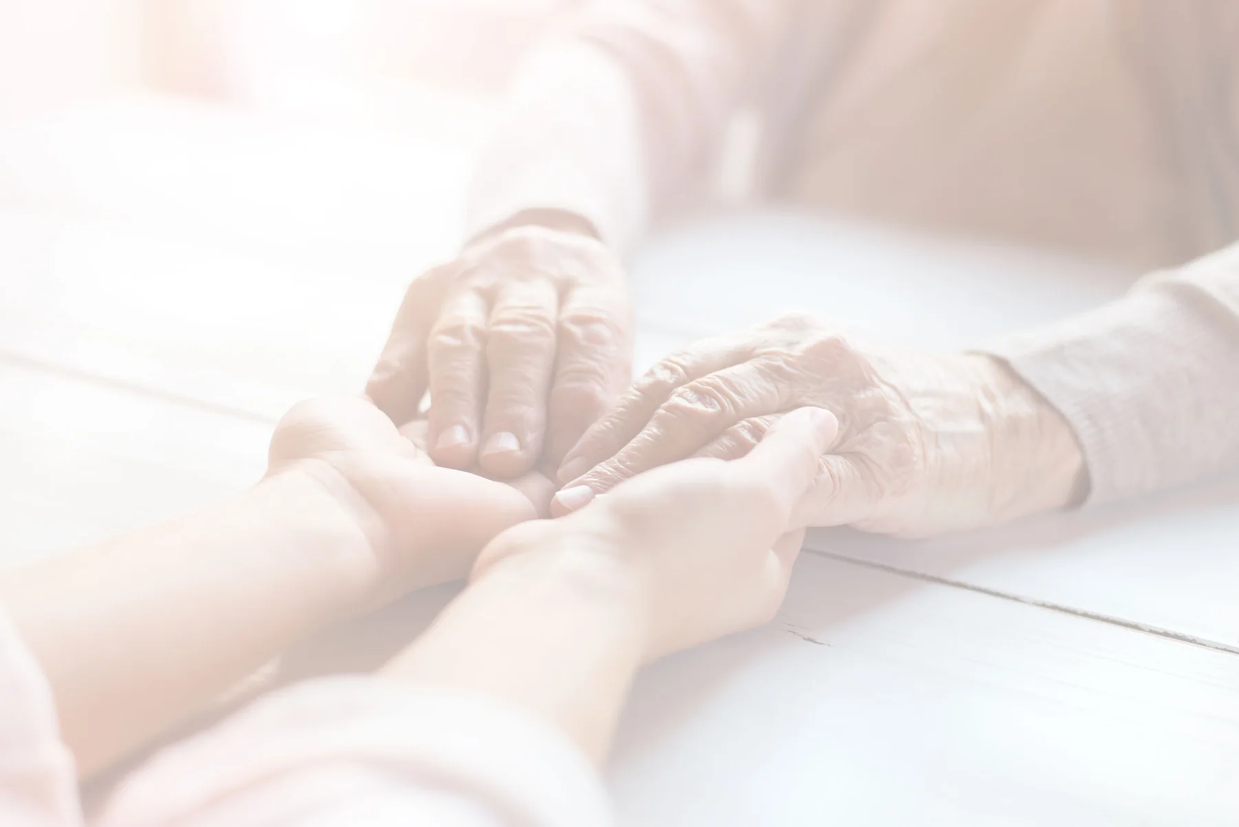 Official institute website image for Pines of Sarasota Health Care, LLC, a CNA training listing in Sarasota, Florida